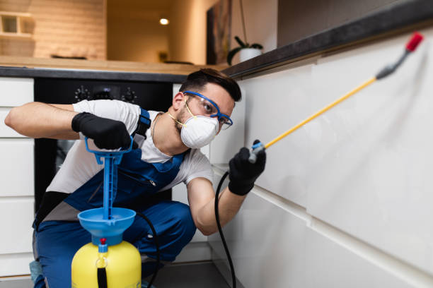Best Local Pest Control Services  in North Crossett, AR