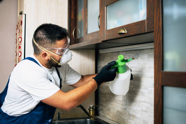 Best Affordable Pest Control Services  in North Crossett, AR